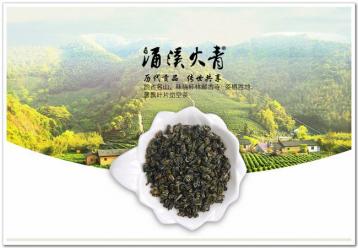 涌溪火青茶歷史記載|綠茶文化